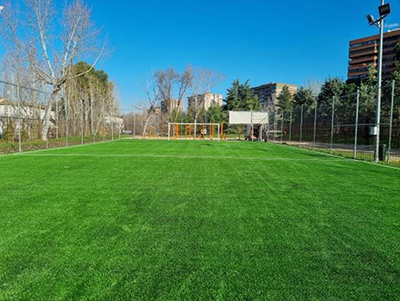 Nuevo césped campito