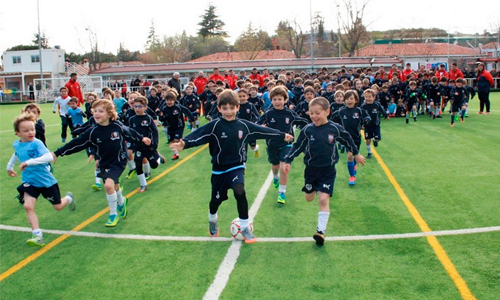 Nuevo césped campito